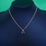 Petite Wishbone Necklace